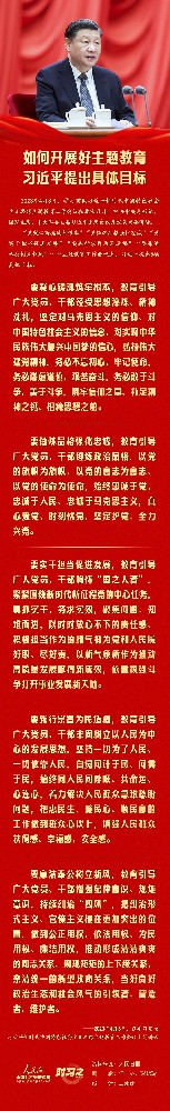 如何开展好主题教育 习近平提出具体目标